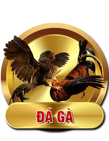 Đá gà ev88